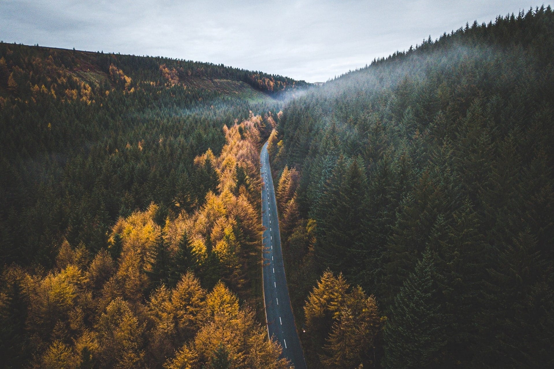 road-going-through-forest-in-autumn-from-above-snake-pass-peak-district-best-scenic-drives-in-uk