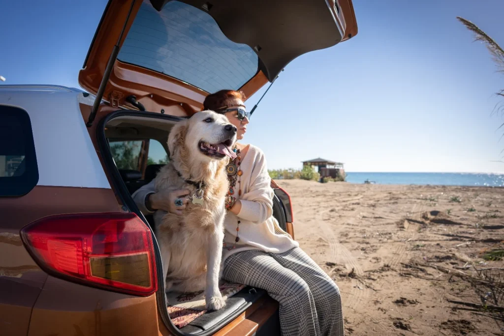 A UK pet owner’s guide to stress‑free road trips