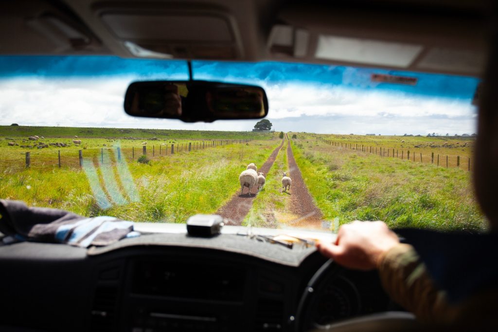 A guide to rural driving